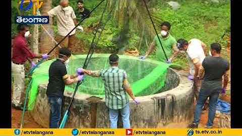 3 Dead From Mysterious Nipah Virus In Kerala, Centre Sends Team