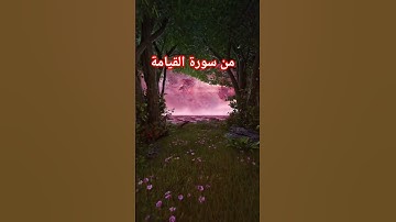 القرآن الكريم سديسي #اكسبلور #jumagreenscreen #تيك_توك #دويتو #الرحمن #المصحف #القزابري #لايك #chal