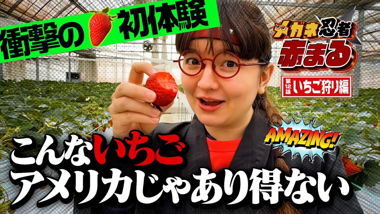 第12話🥷】日本のいちご狩りはクレイジー！外国人が衝撃の初体験