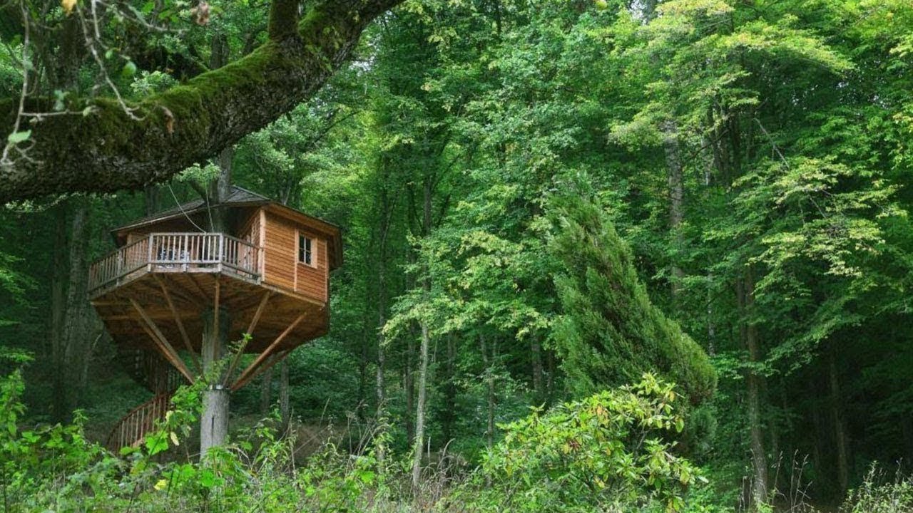 TREEHOUSE HOTEL SEEMÜHLE • GERMANY | TREEHOUSE-HOTELS.COM