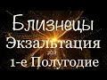 БЛИЗНЕЦЫ ♊️ Самый Подробный Таро-прогноз на 1-е Полугодие 2021 года/Экзальтация