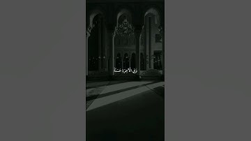 #القرانالكريم #القارئ #ماهر_المعيقلي #تلاوات #قرآن #راحة_نفسية #قراءة_خاشعة #القدس #reels #fyp