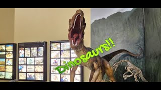 Naranjo Museum of Natural History, Lufkin