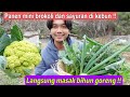 Panen mini brokoli dan sayuran di kebun langsung di masak bihun goreng semua organik