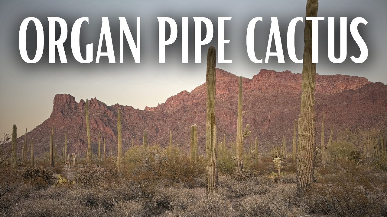 A Beautiful Hike In America's (Actual) Most Dangerous National Park...