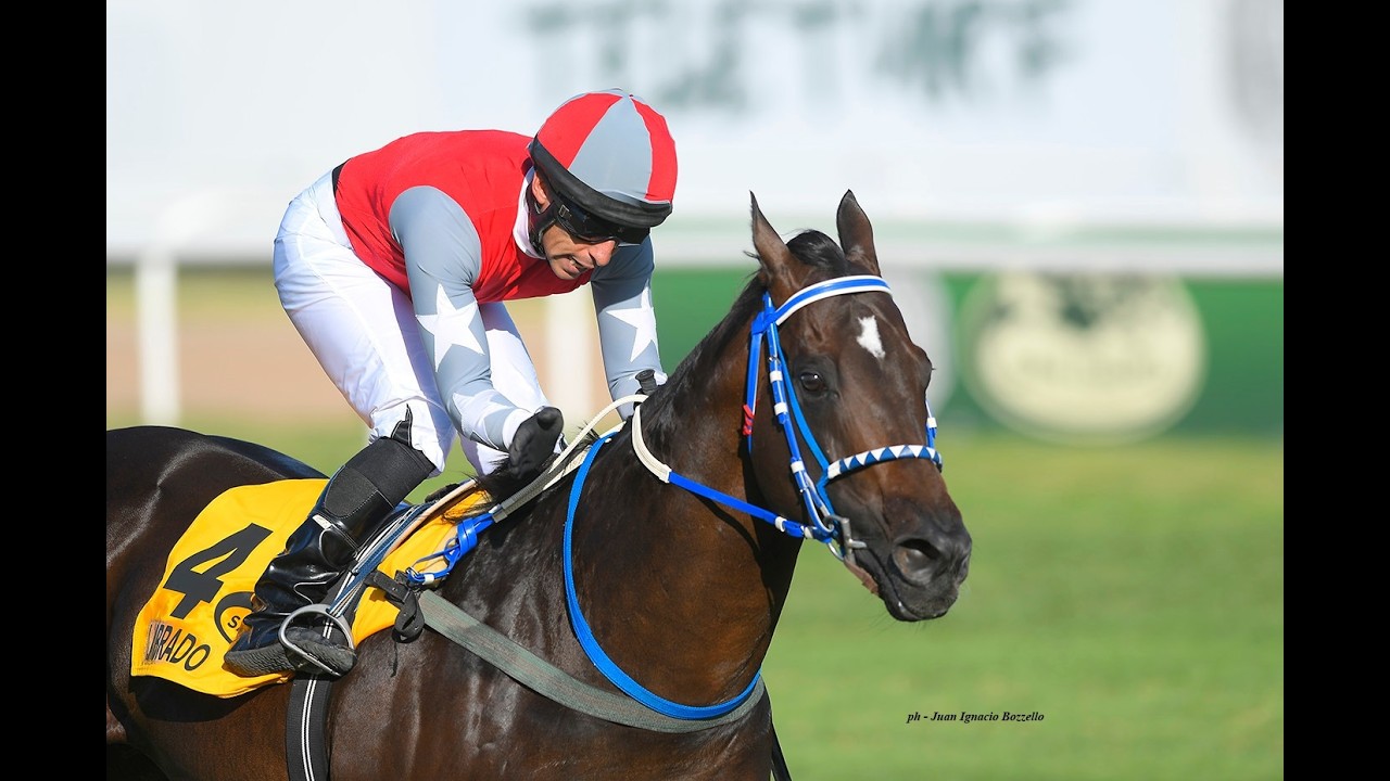 Clásico General Viamonte (G3) 2026 - Labrado (Le Blues)