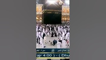 تلاوة خاشعة تحيي القلوب ﴿قول معروف ومغفرة خير من صدقة يتبعها أذى﴾ الشيخ: صلاح البدير حفظه الله.