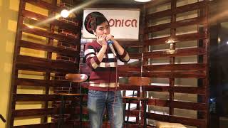 Perfect - Ed Sheeran | Harmonica Tạ Thái Hà