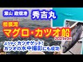 【相模湾 コマセ マグロ・カツオ】ようやくカツオゲット!カツオの水中撮影にも成功!【葉山鐙摺港 秀吉丸10号船】