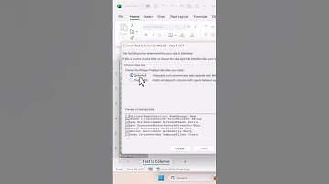 Quick Data Formatting using Text to Columns #shorts