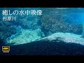 4K 自然環境音 円原川 癒しの水中映像+水中音 Healing underwater footage