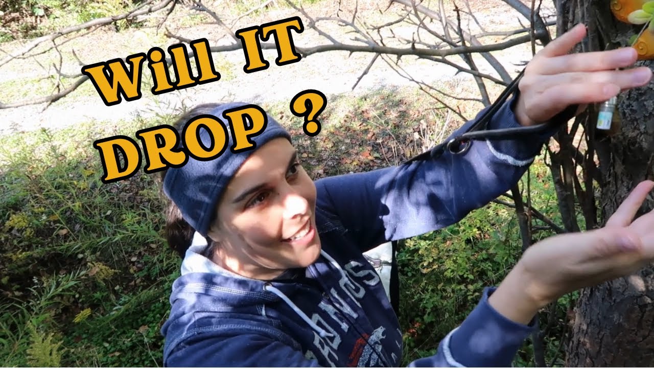 Geocaching Log Etiquette - Bison Tubes