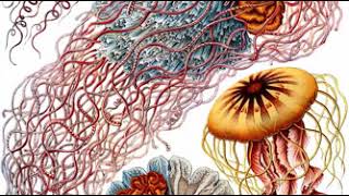 Kunstformen der Natur | Wikipedia audio article