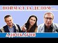 Поймал адвокатов за делом 😉🤦‍♂️🤣