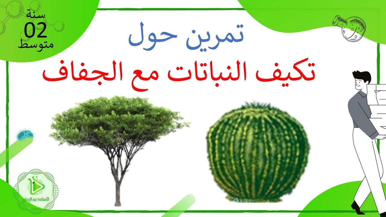 تمرين حول تكيف النباتات مع الجفاف علوم طبيعية سنة 02 متوسط