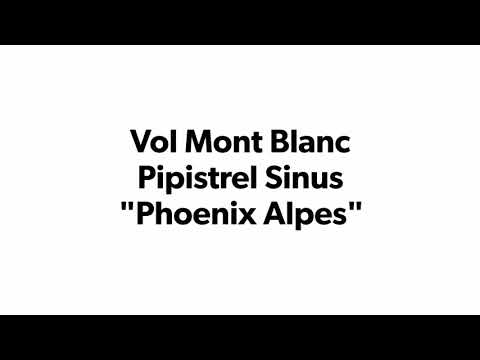Pipistrel Sinus