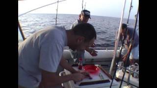 Magnum - Italy - 2002 Trolling for BlueFin