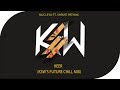 NUCLEYA FT. SHRUTI PATHAK - HEER (KSW's FUTURE CHILL MIX) | CHILL / FUTURE BASS