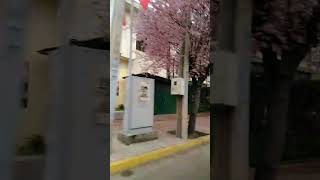 Centro de Buin Chile