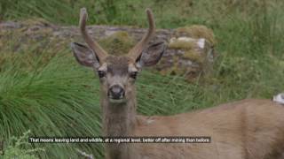 Achieving a net-positive effect on biodiversity