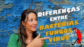 Você sabe a diferença entre bactérias, vírus e fungos?