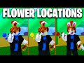 All flower locations to get race v2  blox fruits