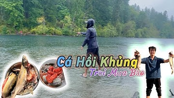 Cá Hồi Khủng Trời Mưa Bão - Monster Salmon in the Rainstorm #kingsalmon #salmonfishing