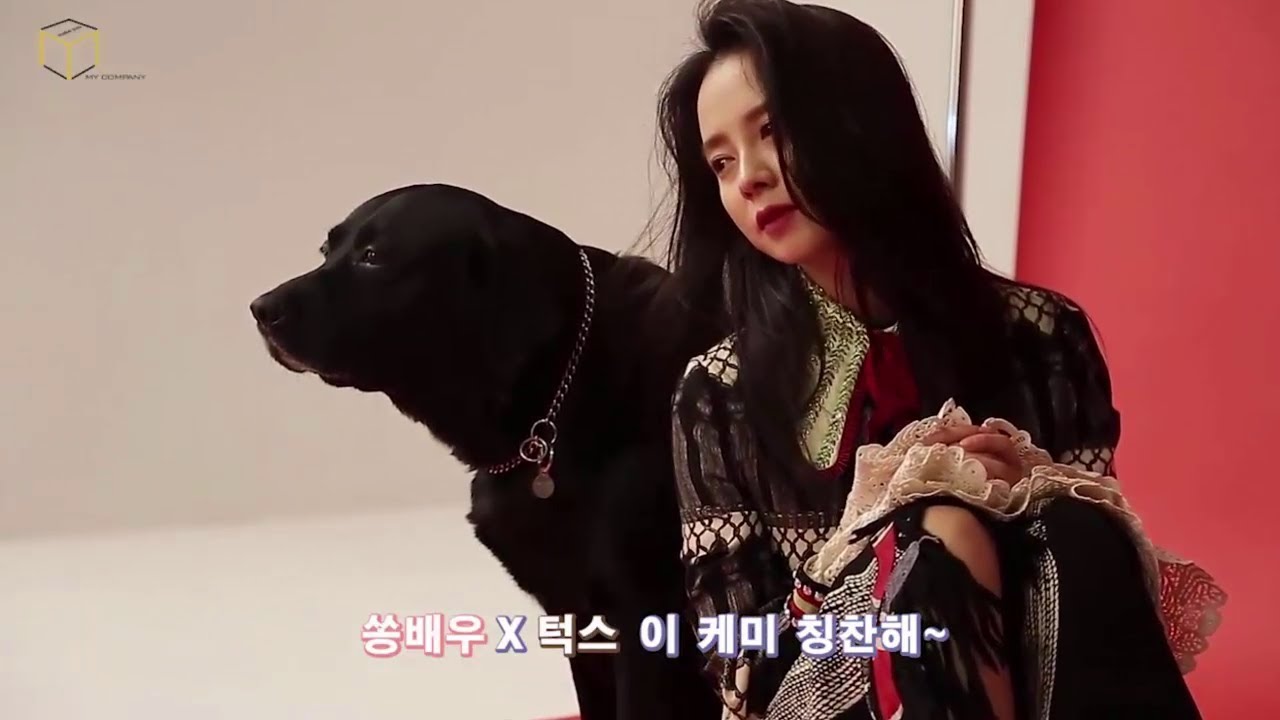 Song Ji Hyo with a Cute Dog - Vogue Taiwan Magazine shooting