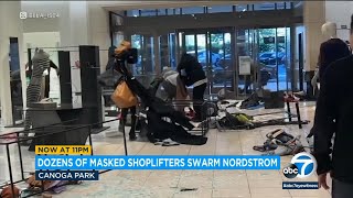 Mob-style smash-and-grab at Topanga mall leaves shoppers on edge