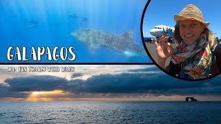 Folge 1 - Ein Traum Wird Wahr - Galapagos Serie - Deutsch