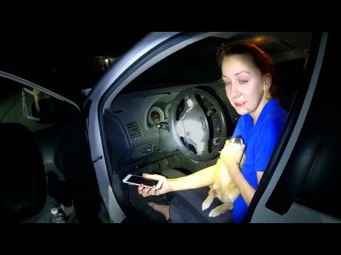 Woman Attempts To Take Cop&#39;s Rifle After DUI