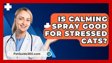 Is Calming Spray Good For Stressed Cats? - PetGuide360.com