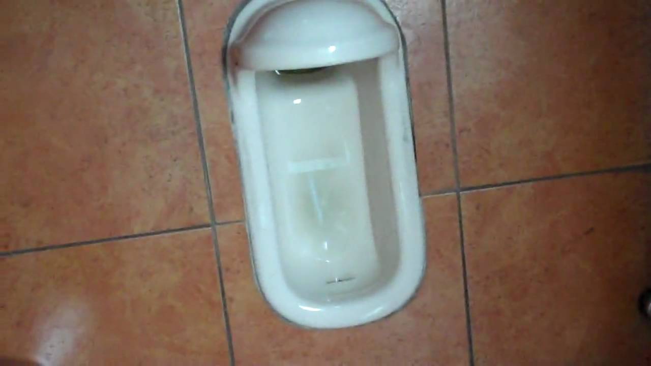 Girls Pooping Toilet Girls Pooping Toilet