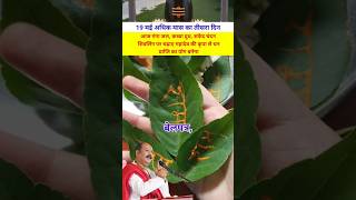 19 में प्रदीप मिश्रा वीडियो#pradeepmishraji #facts #upay