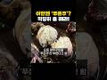 강제 유행이 끊이질 않는 대한민국!