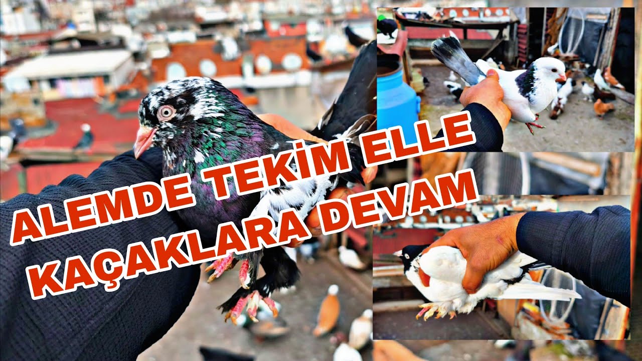 BU ALEMDE TEKİM ELLE KAÇAKLARİ YAKALAMA REKORU KİRDİM
