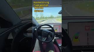 Driving the Tesla Model 3 Through Daily Traffic | Real Driver POV & Quiet EV Cabin Experience #tesla