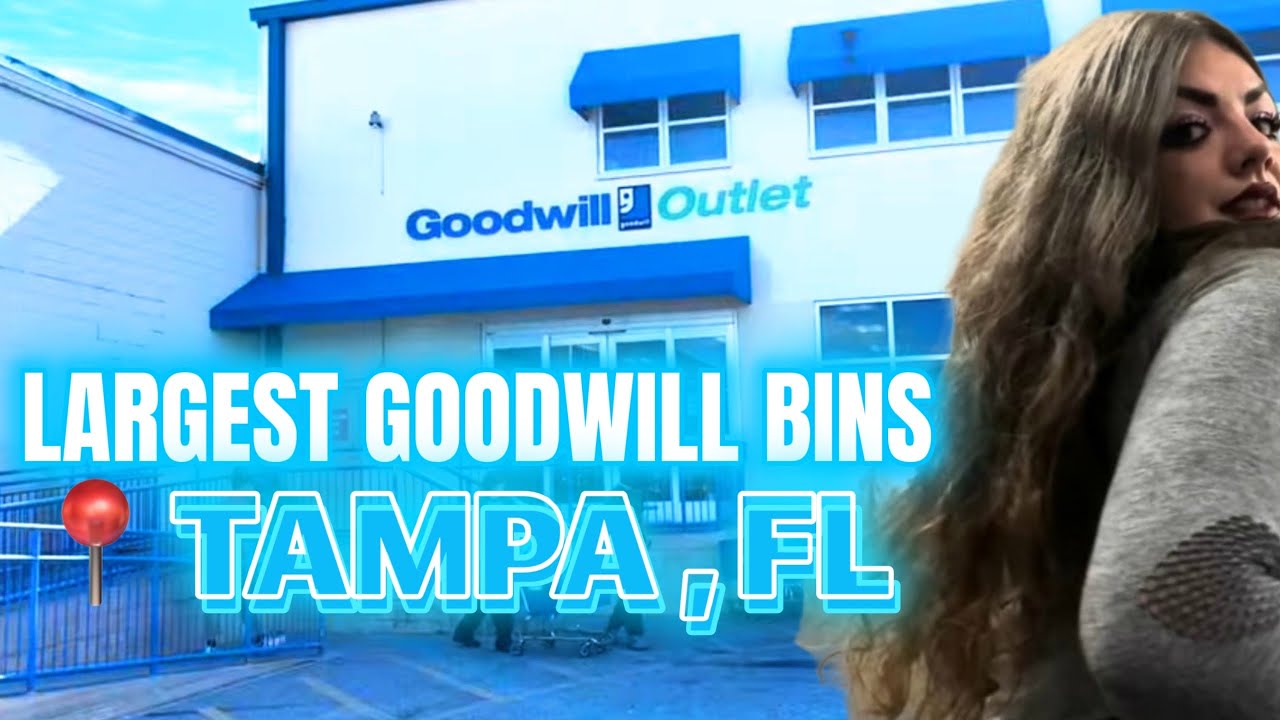 HOW TO THRIFT 1K PROFIT at the Goodwill Bins !!! TAMPA , FLORIDA YouTube