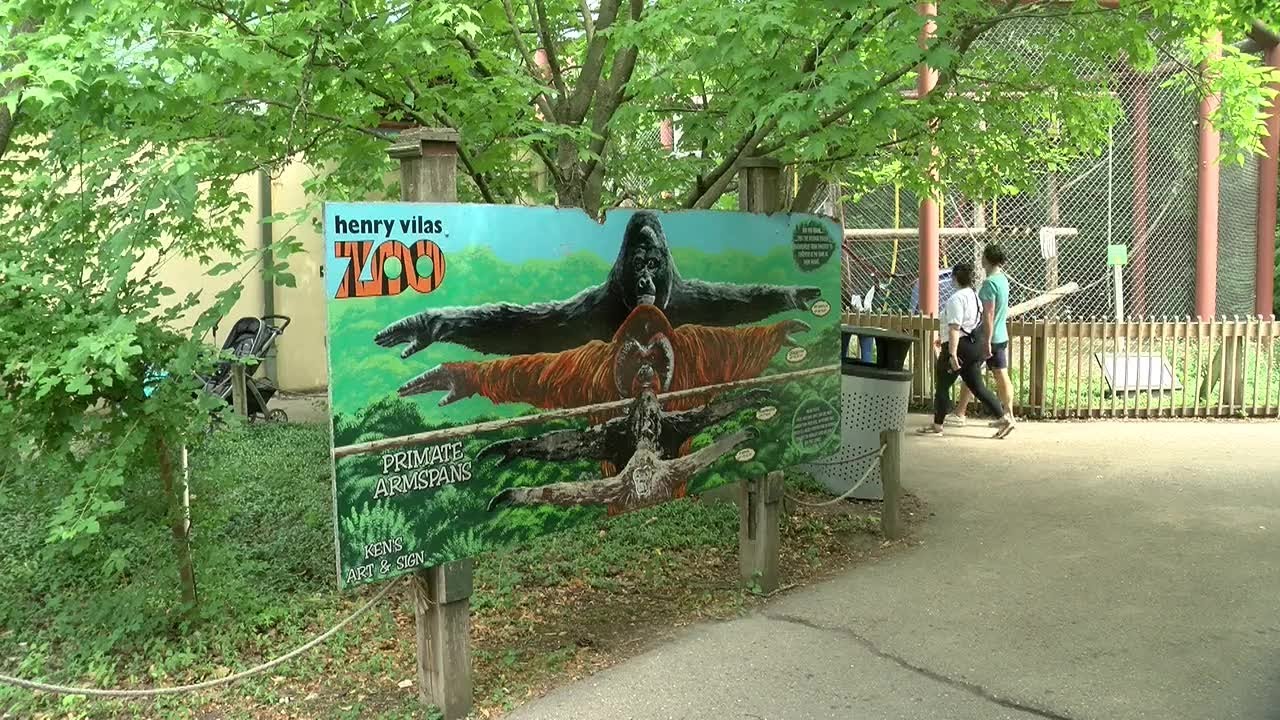 Visitors enjoy Family Fun Day at Henry Vilas Zoo - YouTube