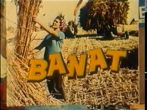 Banat 1965 Revija (retko)