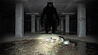 I Work Maintenance at New Luxury Condo, And Found Out the Developer Was Hiding werewolf inthe Garage