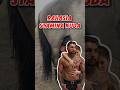Ingin Hubungan Suami Istri Harmonis? #short #shorts #shortvideo