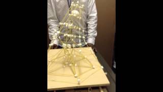 Spaghetti & Marshmallow Project Sheina #2