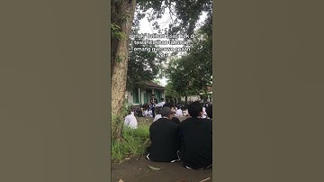 story wa ikspi kera sakti terbaru #shorts #ikspi #storywaikspi #srikandiikspi #ikspipusatmadiun