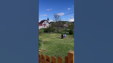 Thumbnail of Armel Dupas⎮Jeux De Chats Au Jardin⎮official music video