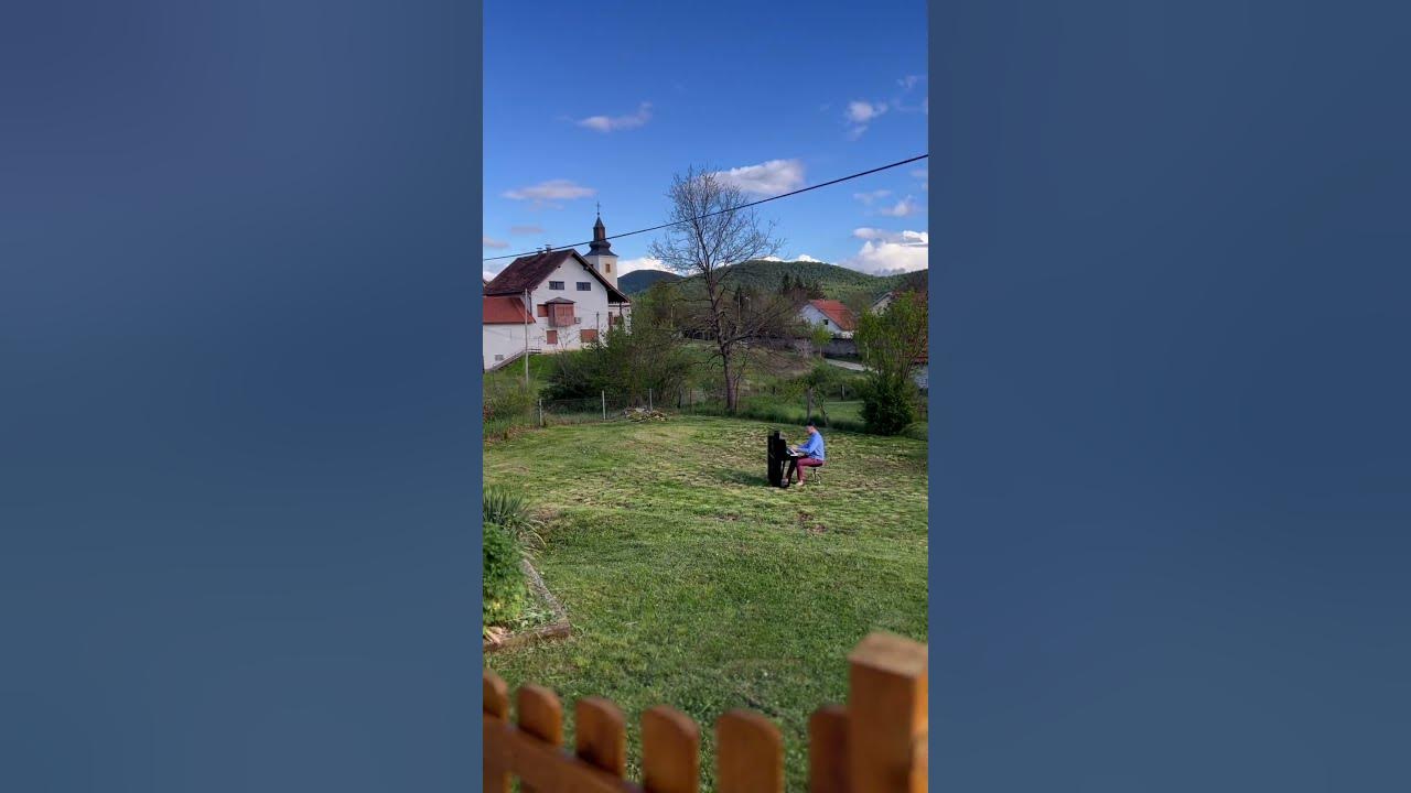 Armel Dupas⎮Jeux De Chats Au Jardin⎮official music video