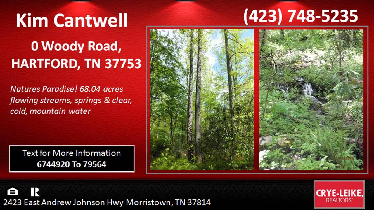 Huge Mountain Lot For Sale near Cherokee National Forest in Hartford TN