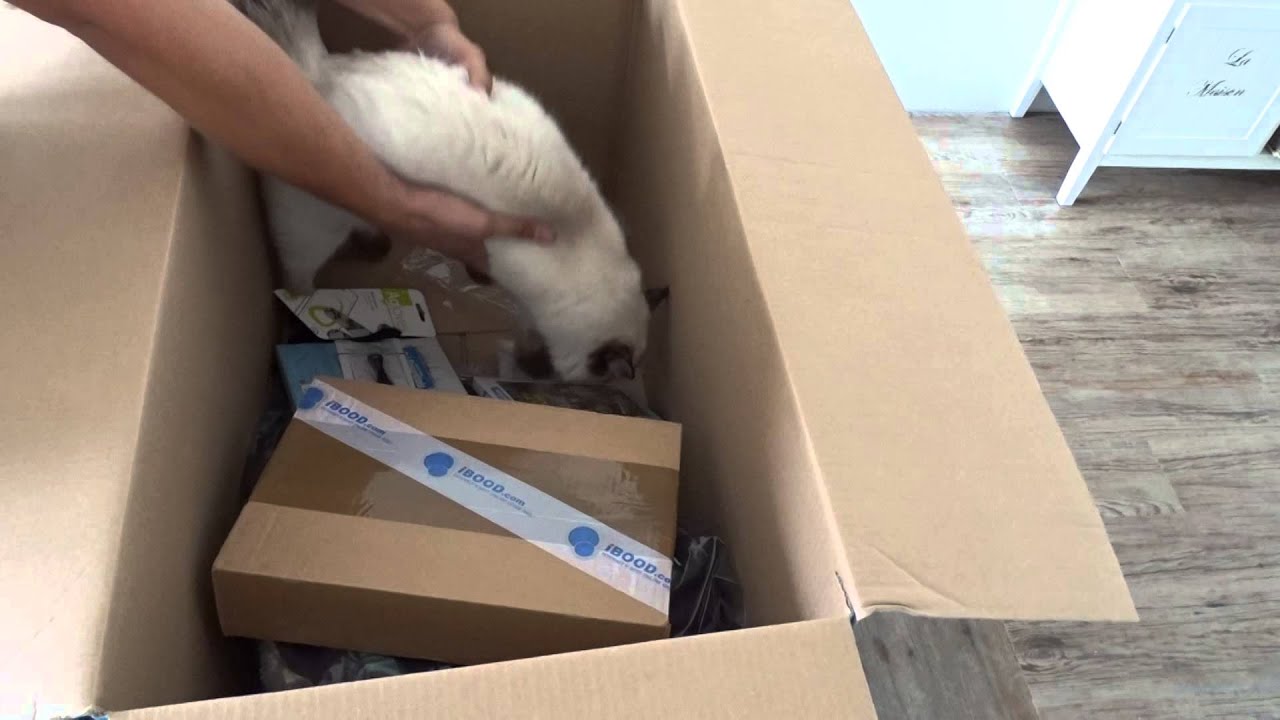 iBOOD Box augustus 2015 unboxing