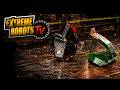 Extreme Robots TV Championships Doncaster 2025 Round 3