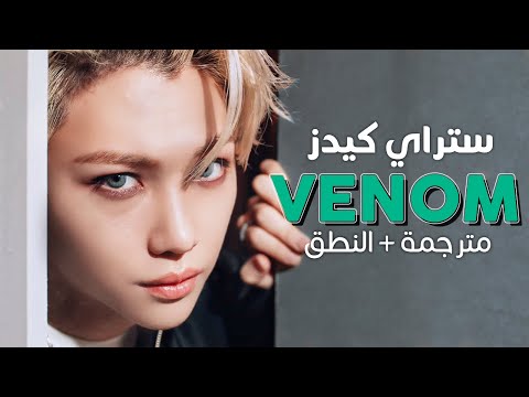      أغنية ستراي كيدز شبكة عنكبوت مترجمة النطق